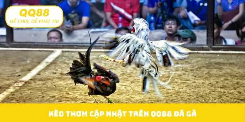 Kèo thơm cập nhật trên QQ88 đá gà